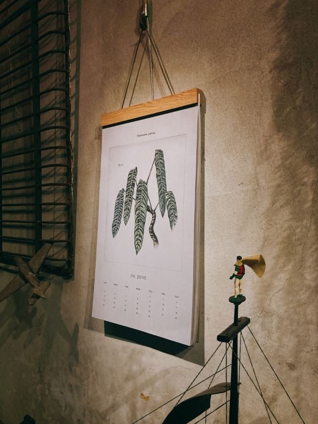platycerium vandaka plants calendar 2022 Hsueh Yu-hsin aroid anthurium alocasia philodendron ビカクシダ バンダカ プランツ アロイド アロカシア 植物カレンダー アンスリウム フィロデンドロン 