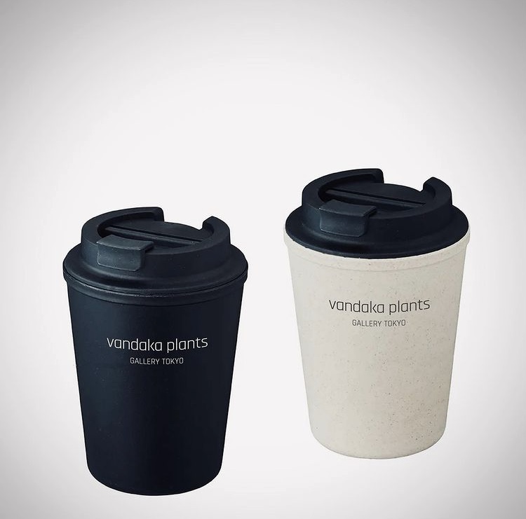 ビカクシダ vandaka plants バンダカ プランツ platycerium novelty tumbler ノベルティグッズ タンブラー GALLERY TOKYO ギャラリー 東京 新店舗 オープン 専門店 販売 コウモリラン