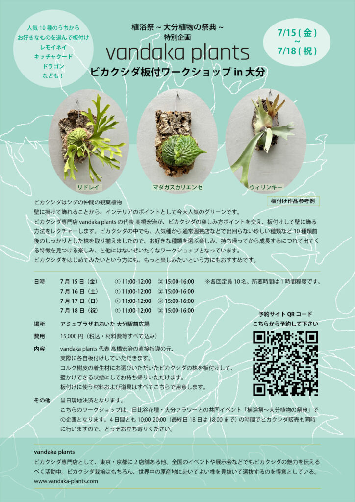 イベント告知 ビカクシダ 板付ワークショップ In 大分 植浴祭 大分植物の祭典 7月15日 金 18日 月 祝 ビカクシダ Vandaka Plants バンダカプランツ