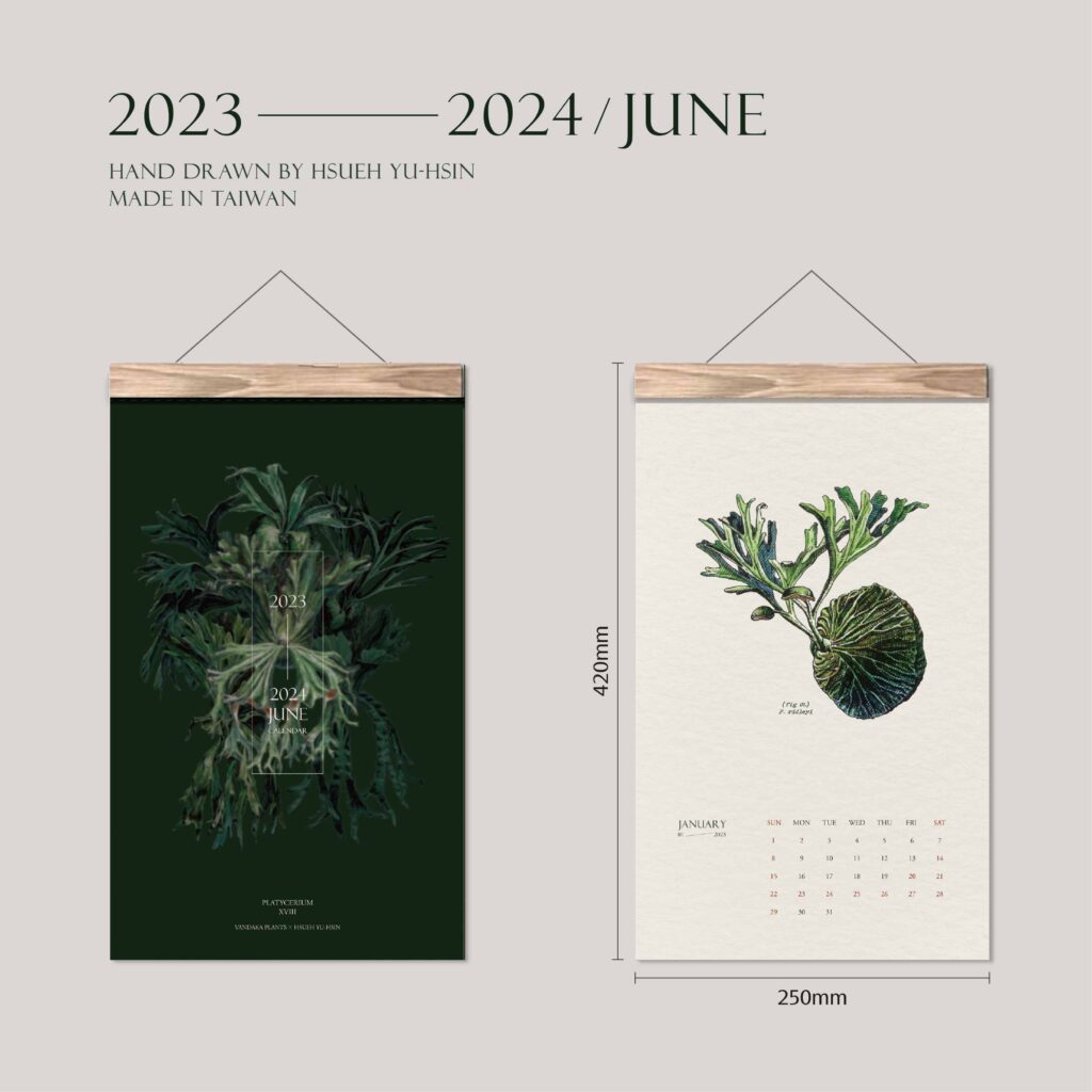 ビカクシダ 原種18種 カレンダー 2023 2023年度版 platycerium 植物カレンダー calendar バンダカ バンダカプランツ vandaka plants Hsueh Yu-hsin 薛育鑫 植物画 細密画 botanical illustration 先行予約 販売