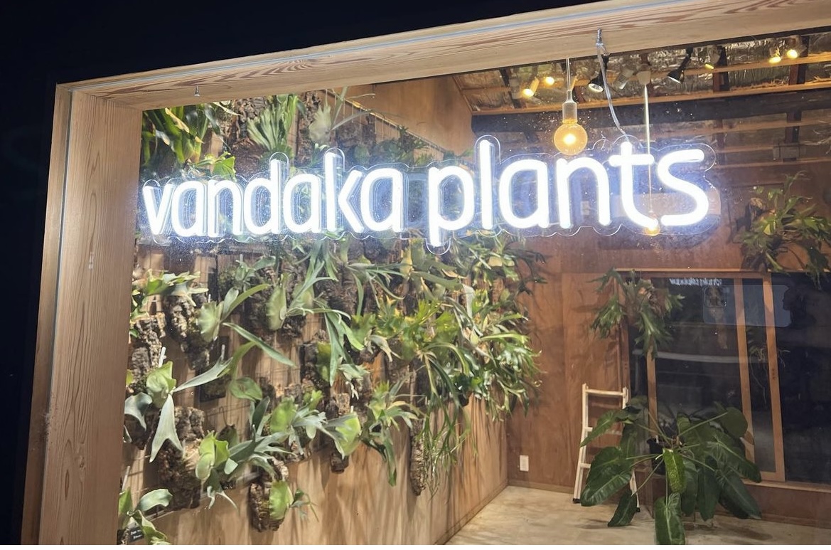 VIVAIA 今季新作 23.5 23.5センチ ファッション VIVAIA 黒 フラットシューズ 赤ソール