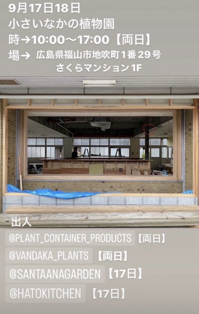 ビカクシダ vandaka plants バンダカ プランツ platycerium 小さいなかの植物園 広島 福山 植物イベント　SANTAANAgarden plant container products 多肉植物 観葉植物 ドライフラワー 鉢 コルク 販売 コウモリラン アガベ コーデックス agave codex