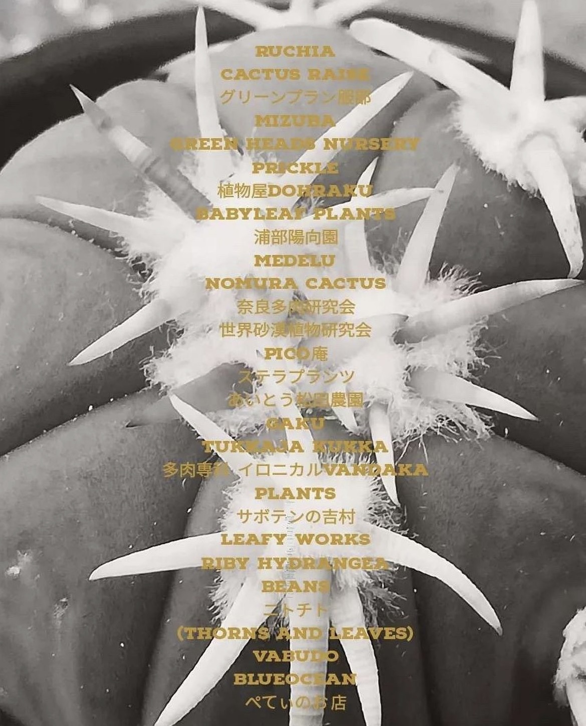 47 秋風マルシェ　パルカ　マツリカ　未開封 🎪 13 シブヤ風〜工房(ペットボトル風車)ws ペットボトルを使っ