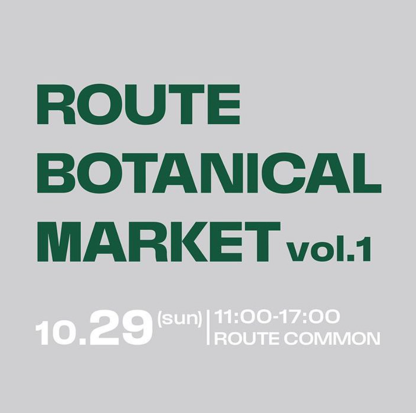 ビカクシダ vandaka plants バンダカ プランツ platycerium 上野 東京 tokyo ueno 東上野 ROUTE BOOKS BOTANICAL MARKET vol.1 本屋 書店 植物イベント 販売 コウモリラン サボテン cactus bromeliad horridas agave caudex アガベ 開墾植物 ブロメリア ホリダス エンセファラルトス