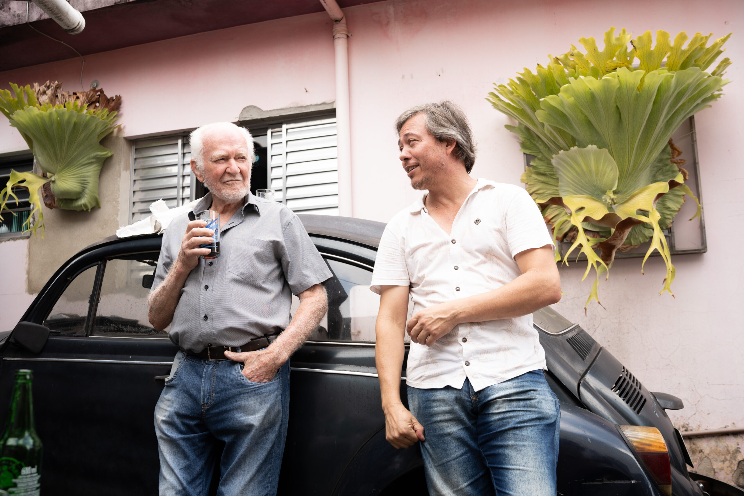 旅行記】ブラジル ビカクシダ レジェンドをめぐる旅 6日目