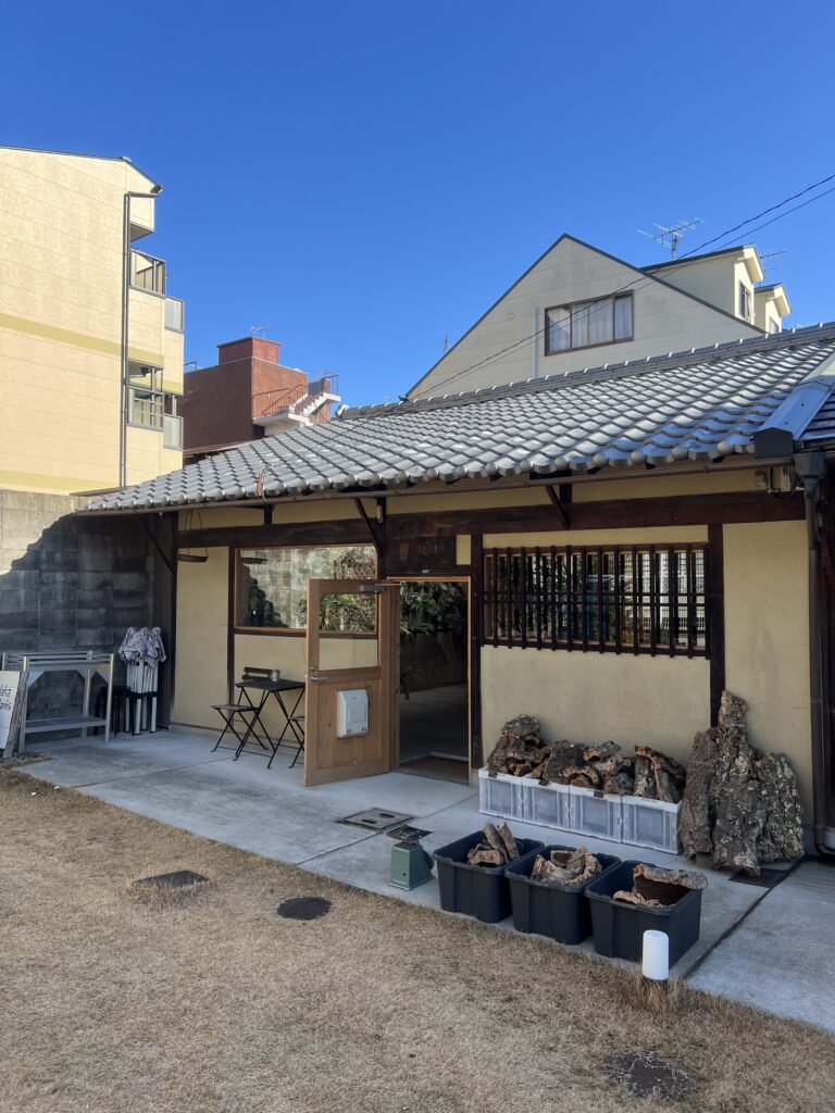 ビカクシダ 専門店 vandaka plants バンダカ プランツ platycerium KYOTO SHOWROOM 京都店 ショウルーム オープンデイ 営業日 Mt.Lewis マウントルイス aroid philodendron anthurium monstera アロイド フィロデンドロン アンスリウム モンステラ コルク 販売 コウモリラン 京町家 古民家 町家建築