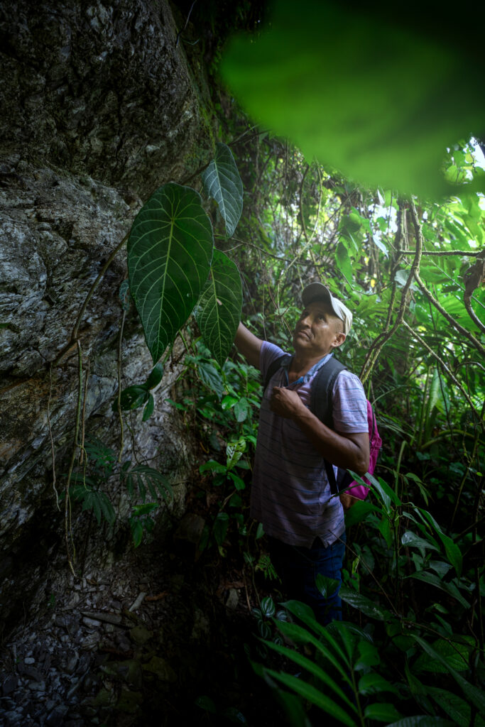 ビカクシダ 専門店 vandaka plants バンダカ プランツ platycerium レジェンドをめぐる旅 ブラジル searching for platycerium legends brazil 原種をめぐる旅 ペルー searching for platycerium andinum peru 旅行記 原生地 巡礼 旅 journey 
pilgrimage natural habitat pero celso durval nunes carlos tatsuta ペドロ セルソ ダーバル ヌネス カルロス タツタ サンパウロ amazon jungle アマゾン ジャングル 自生地 wild fieldwork 　フィールドワーク