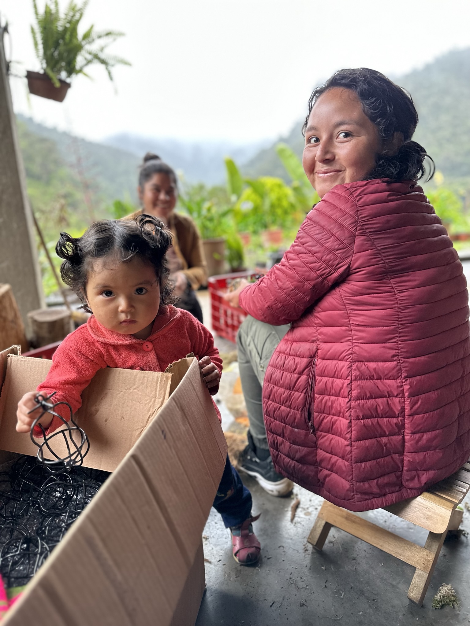 旅行記】ペルー 原種をめぐる旅 ビカクシダ アンディナム他 5日目