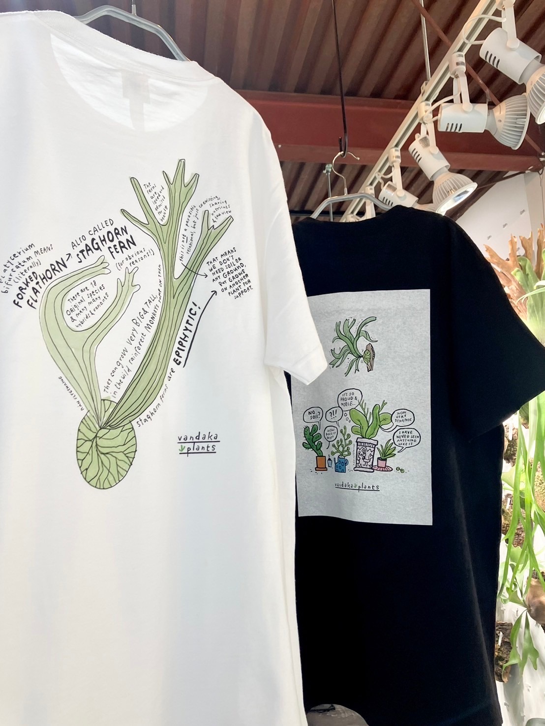 【NEW IN】Rán Flygenring × vandaka plants platycerium Tshirts - vandaka ...
