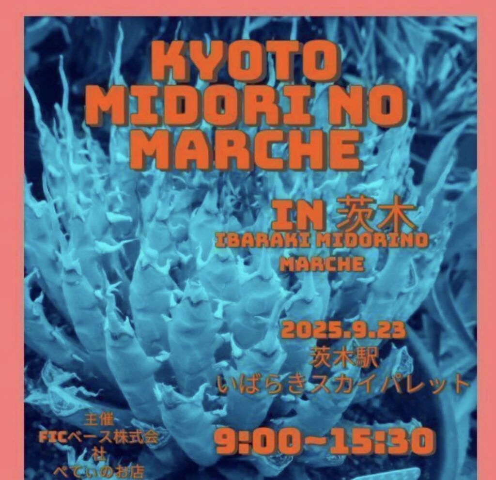 ビカクシダ vandaka plants バンダカ プランツ platycerium みどりのマルシェ  茨木駅 jr いばらきスカイパレット 植物イベント 販売 コウモリラン アロイド 蘭