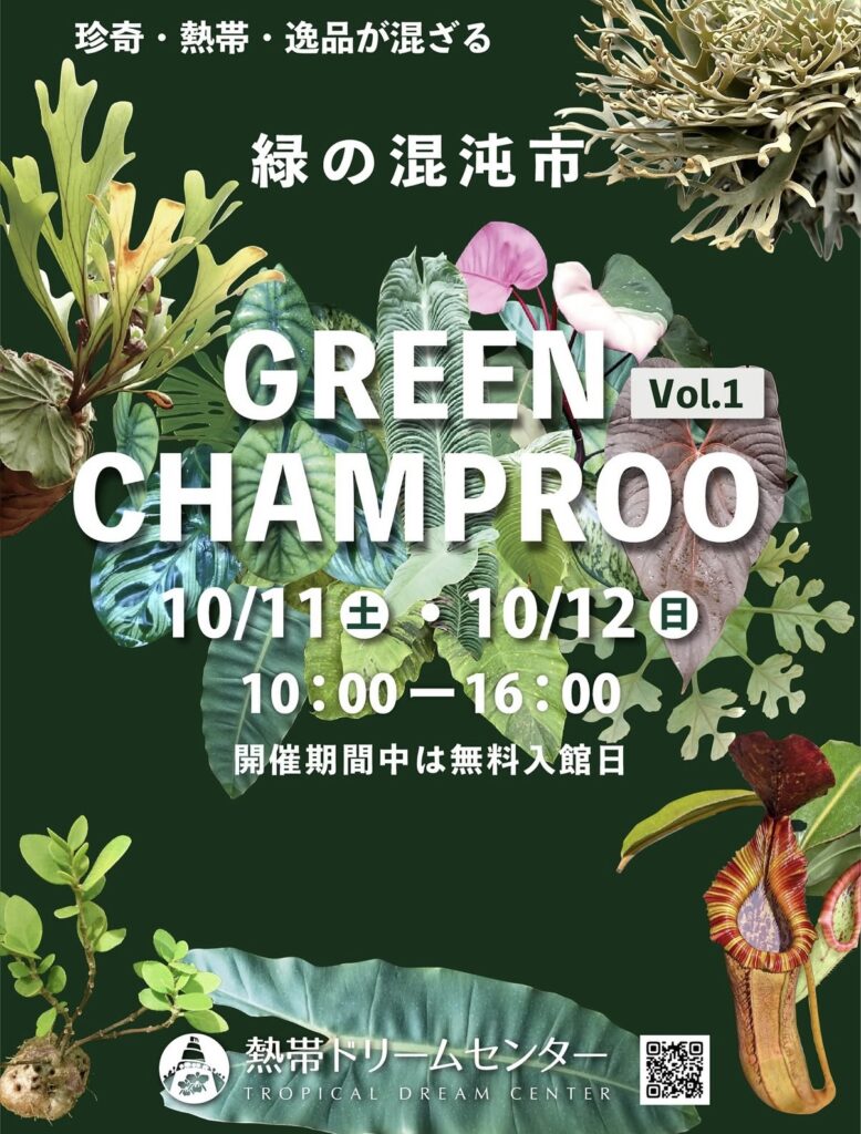 ビカクシダ vandaka plants バンダカ プランツ platycerium 植物イベント 販売 コウモリラン ビカク green champroo グリーン チャンプルー okinawa 沖縄 海洋博公園 熱帯ドリームセンター 美ら海水族館 