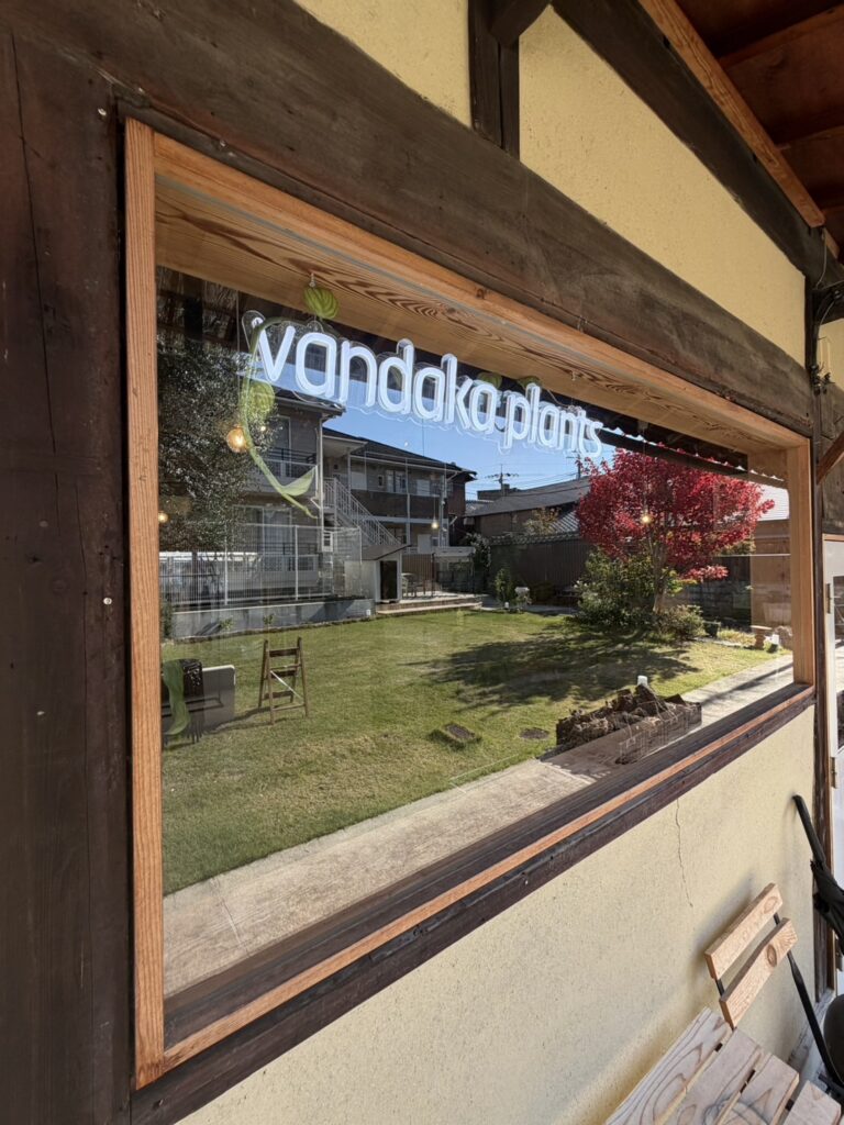 ビカクシダ 専門店 vandaka plants バンダカ プランツ platycerium KYOTO SHOWROOM 京都店 ショウルーム オープンデイ 営業日 aroid philodendron anthurium monstera アロイド フィロデンドロン アンスリウム モンステラ コルク 販売 コウモリラン コロナリウム coronarium
