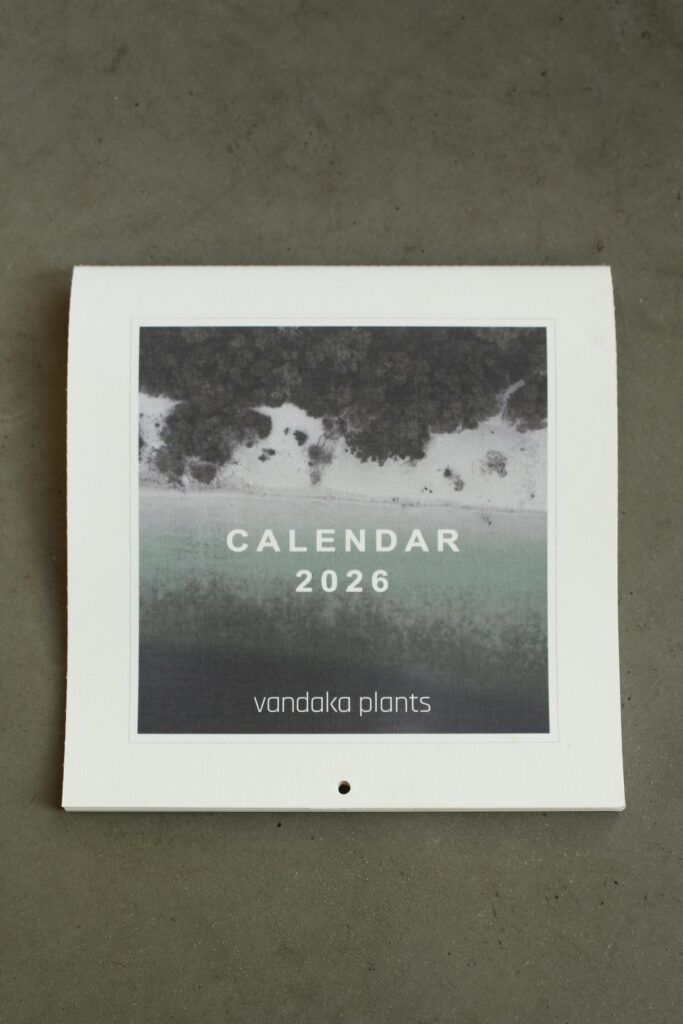 ビカクシダ 専門店 vandaka plants バンダカ プランツ platycerium カレンダー 2026 calendar australia 原生地 原種 暦 プレゼント