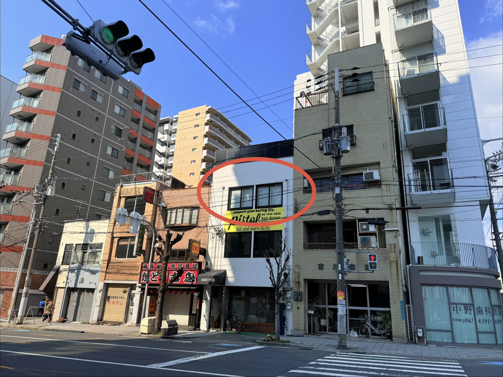 vandaka plants OSAKA - vandaka plants バンダカプランツ