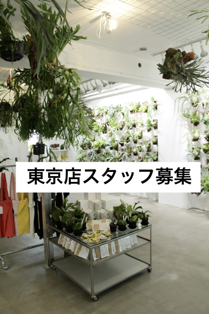 東京店 スタッフ募集 アルバイト vandaka plants ビカクシダ コウモリラン 観葉植物 園芸 ガーデニング  植物 専門店 目黒 恵比寿 おしゃれ 正社員