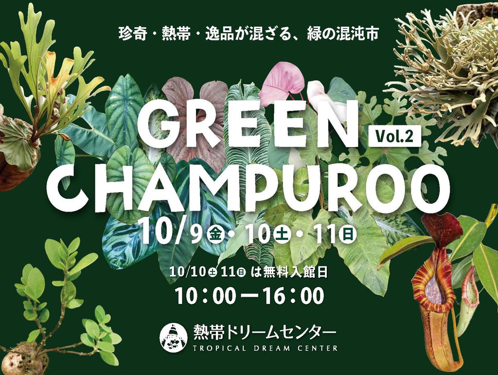 ビカクシダ vandaka plants バンダカ プランツ platycerium 植物イベント 販売 コウモリラン ビカク green champroo グリーン チャンプルー okinawa 沖縄 海洋博公園 熱帯ドリームセンター 美ら海水族館 